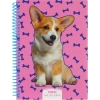 Блокнот Maxi А5, пластикова обкладинка, спіраль, 80 арк., клітинка (MX21950-03)