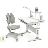 Парта з кріслом Evo-kids Evo-30 G + Y-115 G