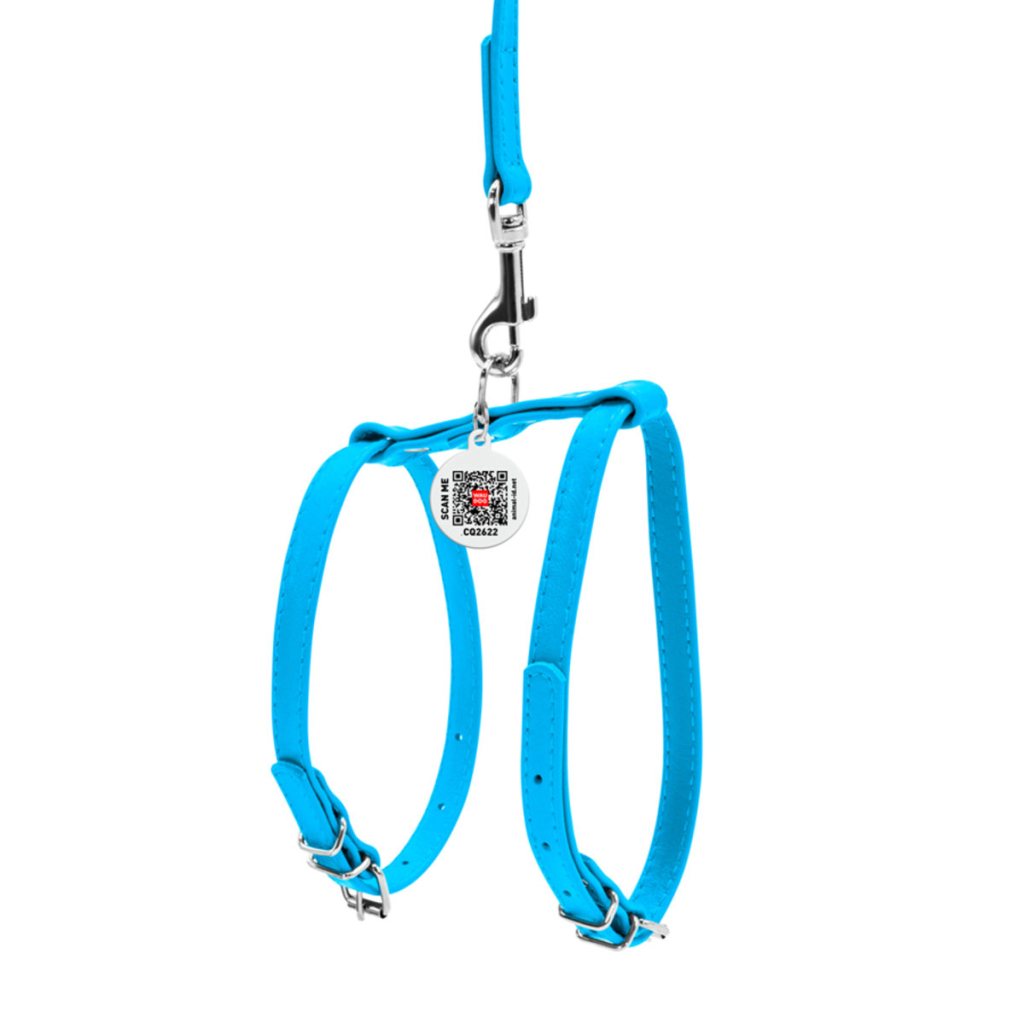 Шлея для собак WAUDOG Glamour з повідцем шкіряна Ш 9 мм А 20-30 см В 30-40 см блакитна (33992)