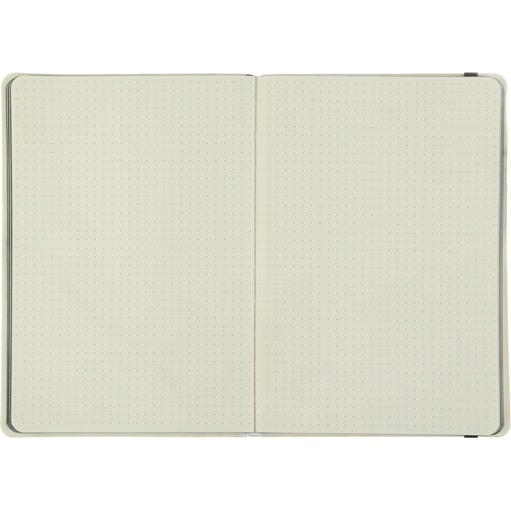 Книга записна Buromax Etalon 125x195 мм 96 аркушів в точку обкладинка зі штучної шкіри Рожева (BM.291360-10)