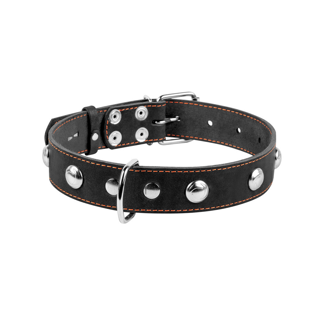 Нашийник для тварин Collar одинарний з прикрасами Ш 35 мм Д 48-63 см чорний (02711)