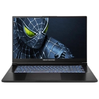 Ноутбук Dream Machines RG5050-17 (RG5050-17UA21)
