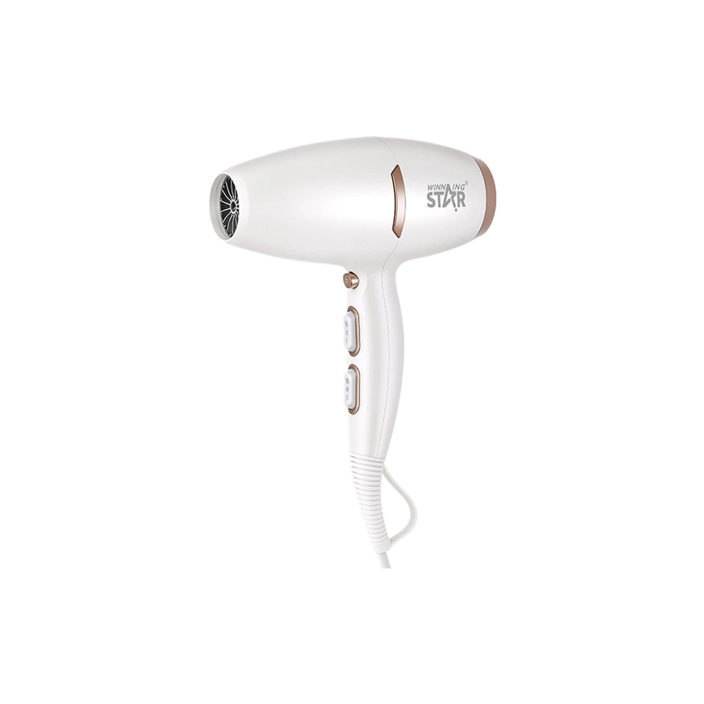 Фен WINNINGSTAR ST-5832