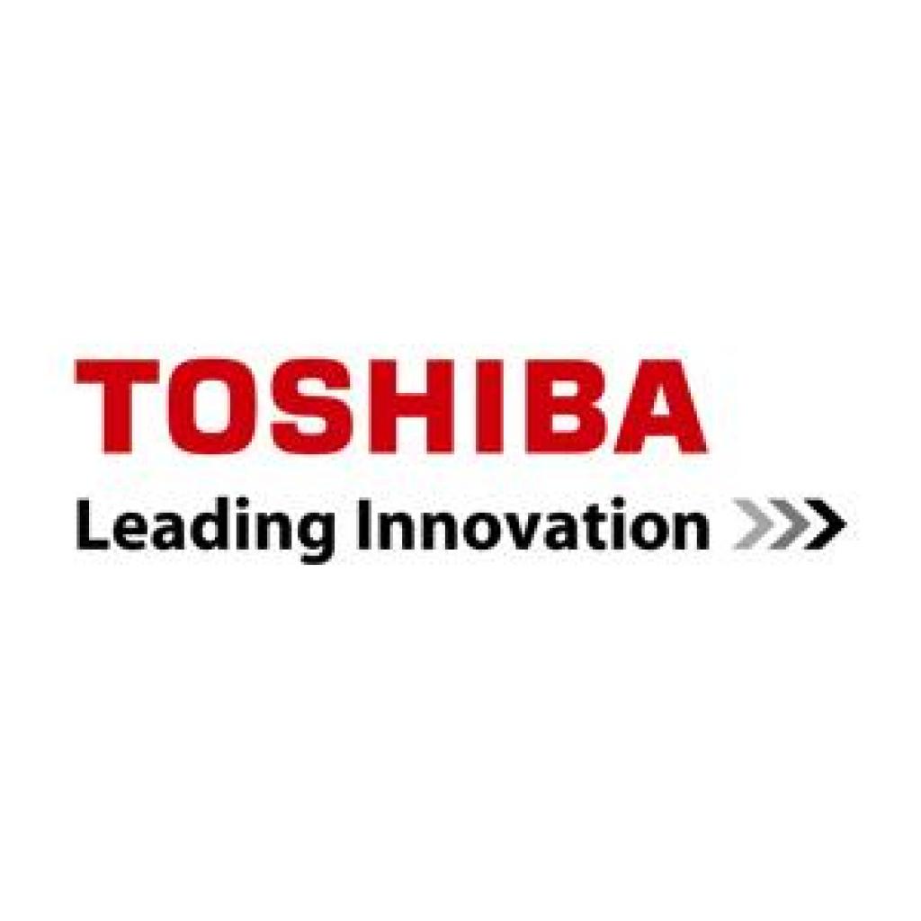 Девелопер Toshiba D-2505 Black 55К (6LJ83445000) Девелопер Toshiba D-2505 Black 55К (6LJ83445000)