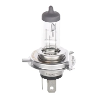 Bosch halogen car lamp 60/55W (1 987 302 803)