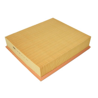 Mann C32338 Car Air Filter