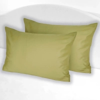 Pillowcase Yaroslav Satin olive 05 50x70 -2pcs (39740)