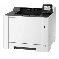 Лазерний принтер Kyocera PA2101cx (110C253NL0)