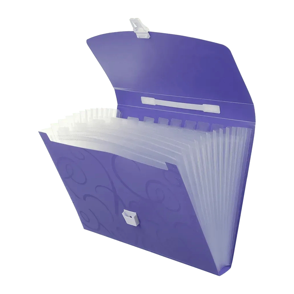 Папка - портфель Buromax A4/35мм, BAROCCO, violet (BM.3719-07)