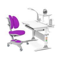 Парта з кріслом Evo-kids Evo-30 G + Y-115 KS