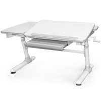 Desk Evo-kids Darwin Gray (Evo-502 G)