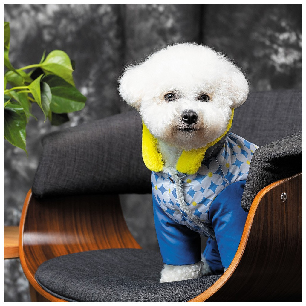 Костюм для тварин Pet Fashion Tender S синій (4823082427642)