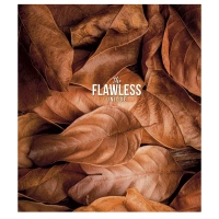 Notebook Schoolboy The Flawless 48 sheets cell (048-3046K)