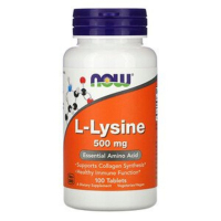 Amino acid Now Foods L-Lysin, L-Lysin, 500 mg, 100 tablets (NF0100)