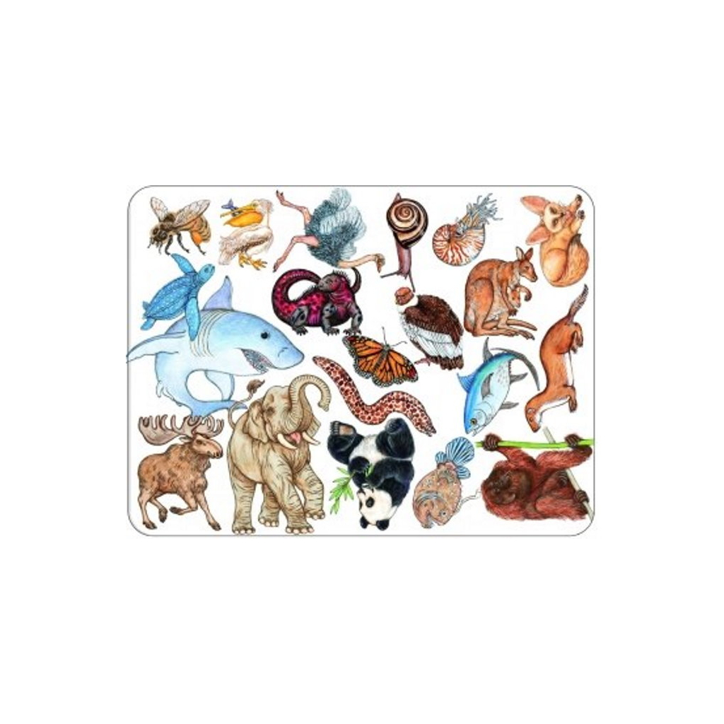 Настільна гра Djeco Займалка (Zanimatch) (DJ05153)