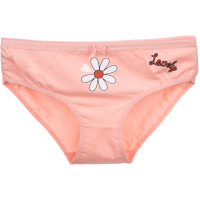 Труси дитячі BiyoKids з квіточкою (3266-164G-peach)