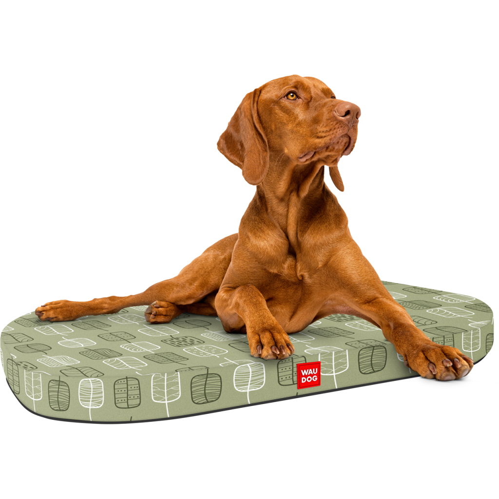 Чохол на матраци для тварин WAUDOG Relax Зелене листя М 80х55 см (1309-0108)