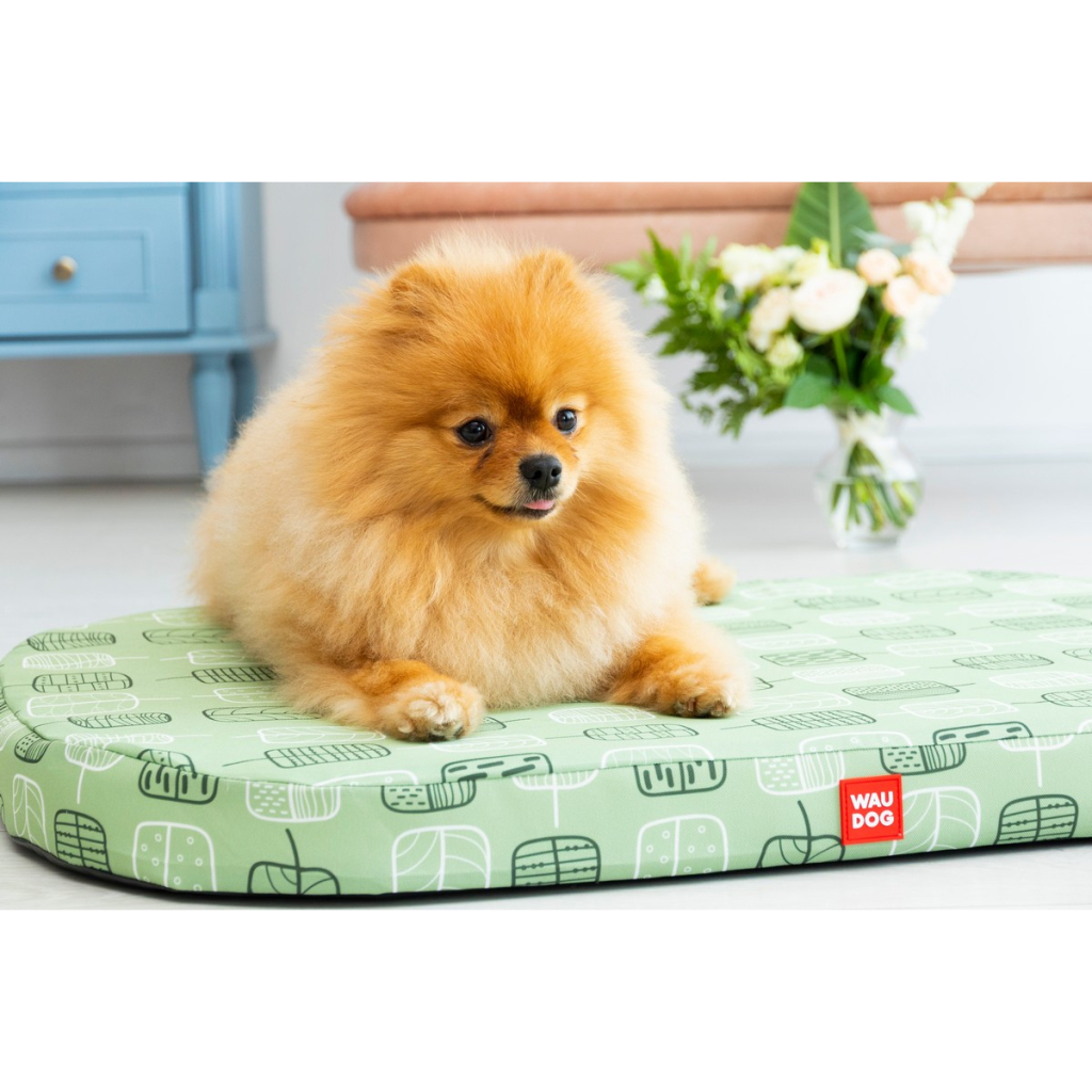 Чохол на матраци для тварин WAUDOG Relax Зелене листя М 80х55 см (1309-0108)
