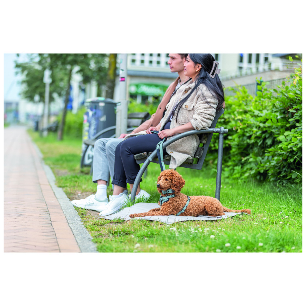 Шлея для собак Trixie CityStyle H-harness Бавовна L–XL 75–120 см 25 мм Світло-зелена (4053032682672)