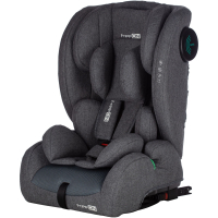 Car seat FreeON MODUS gray (49621)