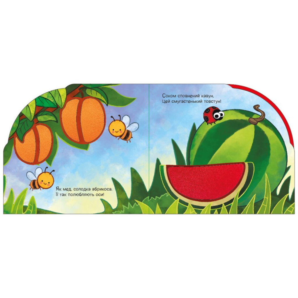 Книга У садку і на городі - Ірина Сонечко Ранок (9789667616557)