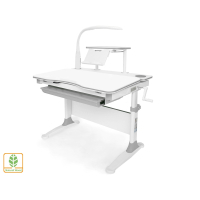 Desk Evo-kids Diego (Evo-30 G+shelf+Led)