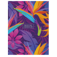 School notebook A5 Student line 48 sheets (A5-048-5201L)