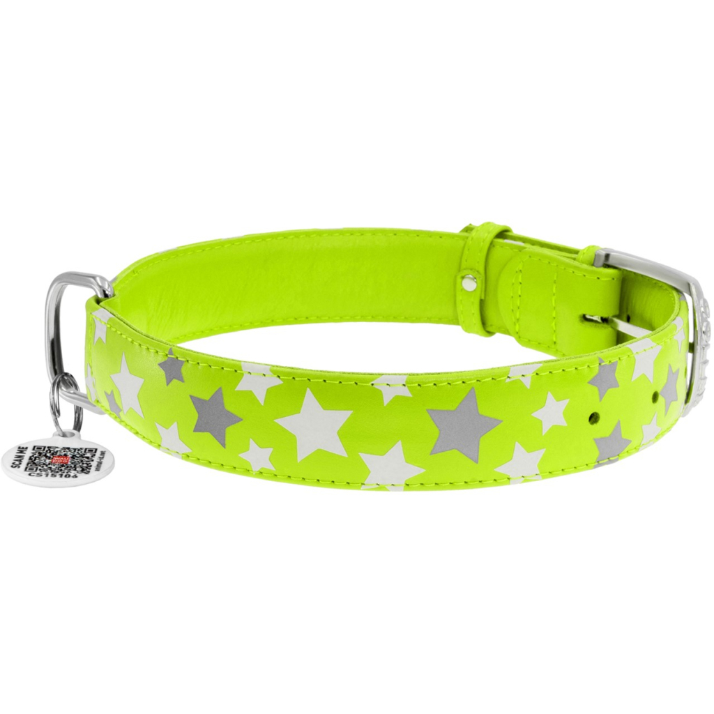 Нашийник для тварин WAUDOG Glamour з QR паспортом "Зірочка" M Ш 25 мм Д 38-49 см салатовий (35875) Нашийник для тварин WAUDOG Glamour з QR паспортом "Зірочка" M Ш 25 мм Д 38-49 см салатовий (35875)