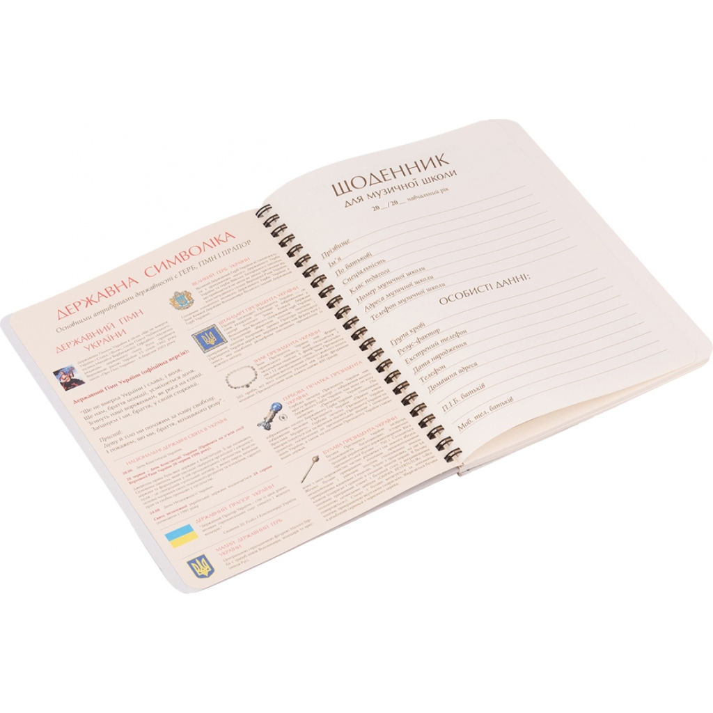 Щоденник шкільний Yes для музичної школи Music is the answer (911377) Щоденник шкільний Yes для музичної школи Music is the answer (911377)