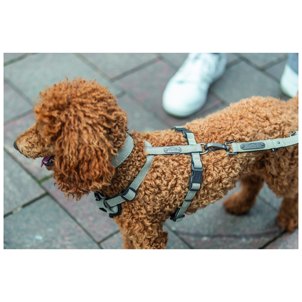 Шлея для собак Trixie CityStyle H-harness Бавовна L–XL 75–120 см 25 мм Світло-сіра (4053032682689)