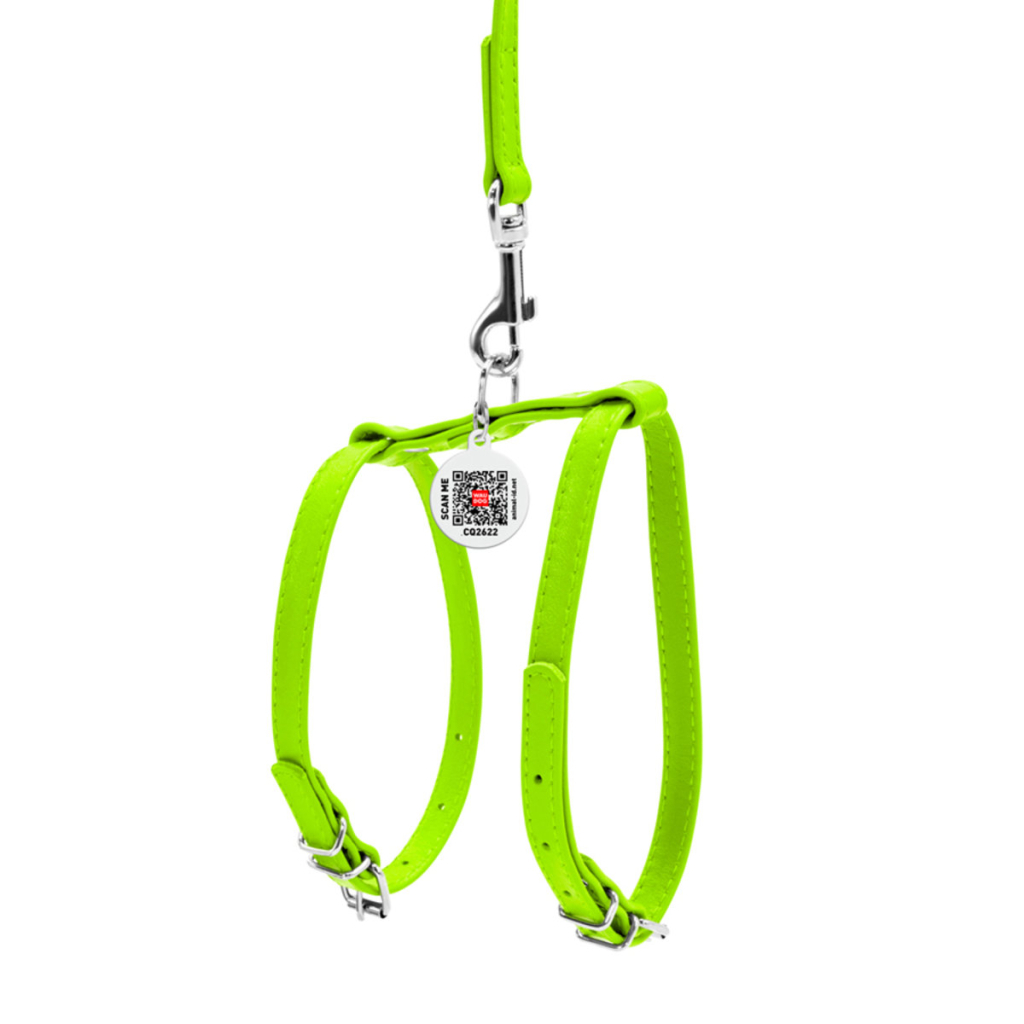 Шлея для собак WAUDOG Glamour з повідцем шкіряна Ш 9 мм А 20-30 см В 30-40 см салатова (33995)
