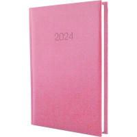Economix weekly dated 2024 PRINCIPE pink, A5 (E21690-09)