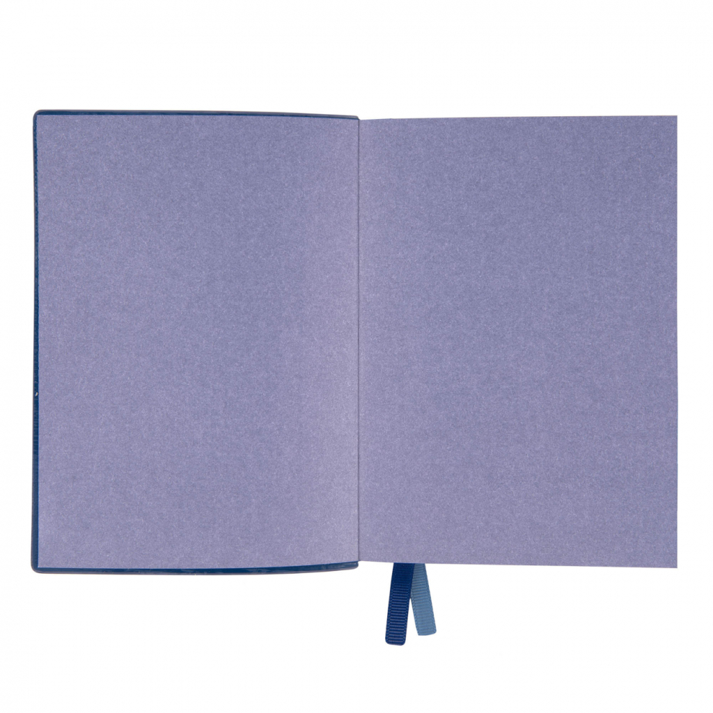 Тижневик Leo planner датований 2025 Apiro А6 синій 352 сторінки (252599)