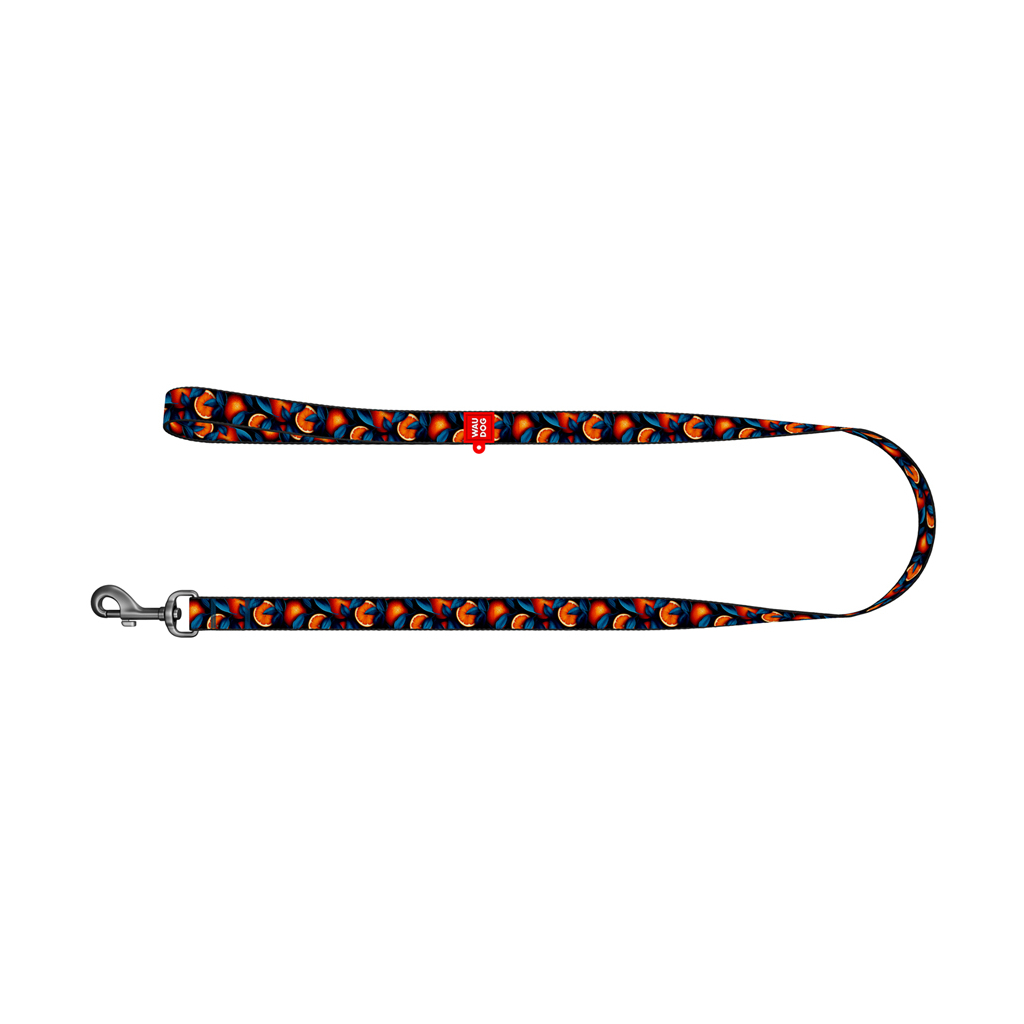 Повідець для собак WAUDOG Nylon "Апельсини" S, Ш 15 мм, Д 200 см (756-4054)