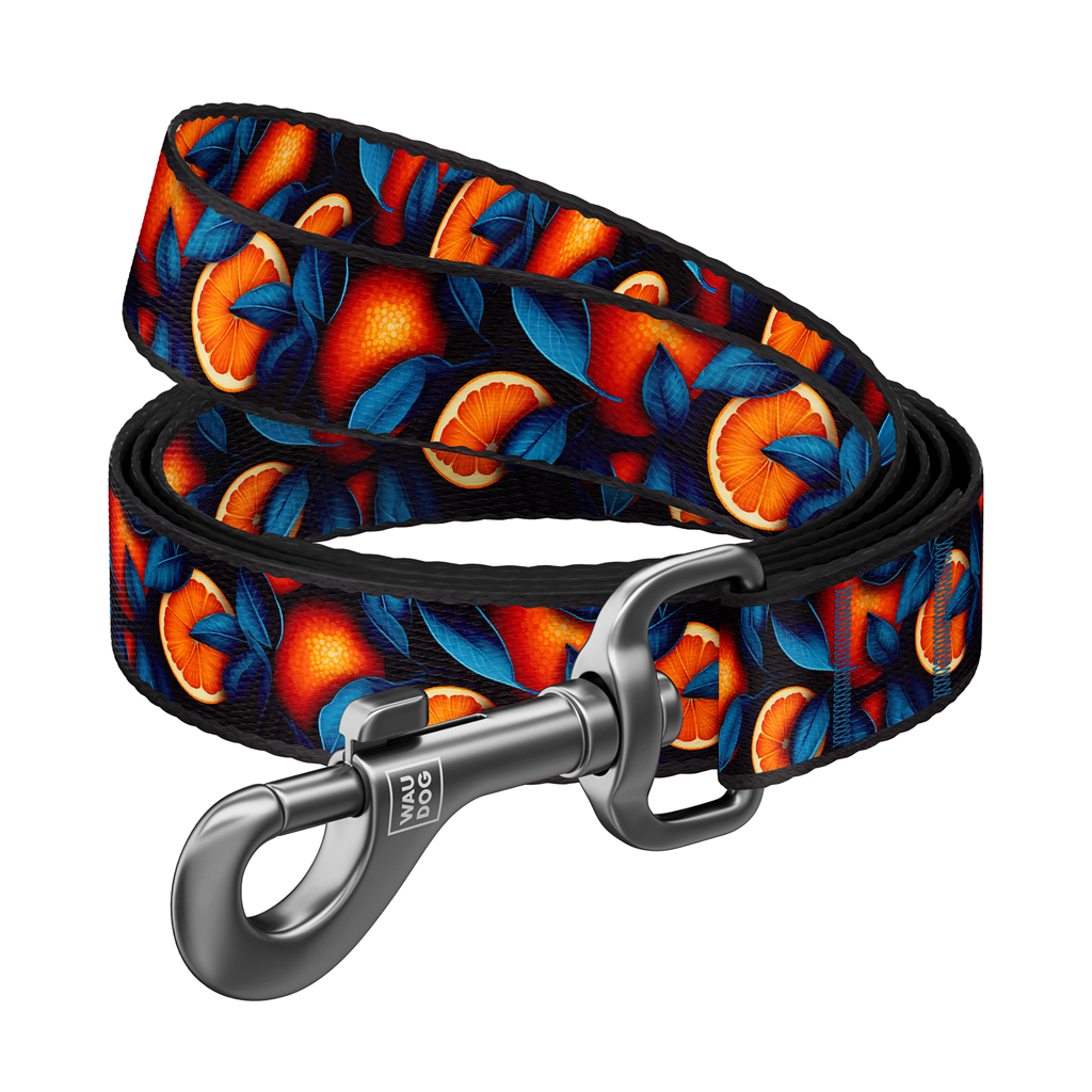Повідець для собак WAUDOG Nylon "Апельсини" S, Ш 15 мм, Д 200 см (756-4054)