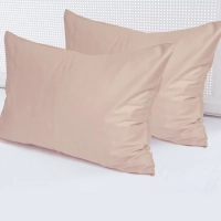Pillowcase Yaroslav Satin beige 01 70x70 (39781)
