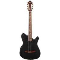 Гітара класична Ibanez TOD10N-TKF (234181)