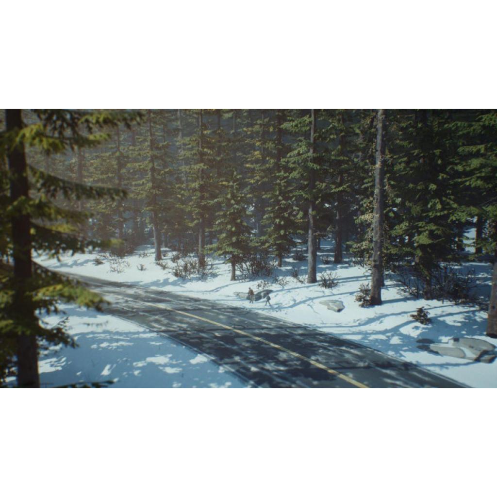 Гра Sony Life is Strange 2 [PS4, English version] (SLIS24EN01)