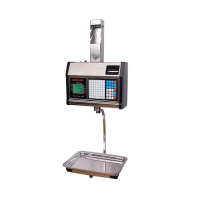 Scales Rongta RLS 1315 (KZVO-00152)