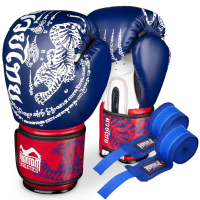 Боксерські рукавички Phantom Muay Thai Blue 10 унцій (PHBG2496-10)