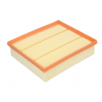 Champion CAF100955P car air filter