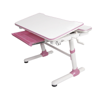 Desk Evo-kids Duke Pink (Evo-501 P)