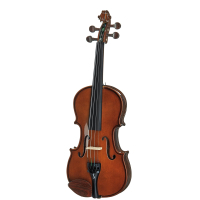 Violin Stentor Student I Violin Outfit 1/2 (1400E2)