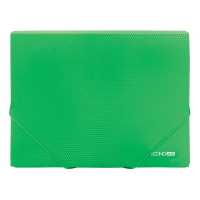 Folder with rubber bands Economix A4 texture "diamond", green (E31601-04)