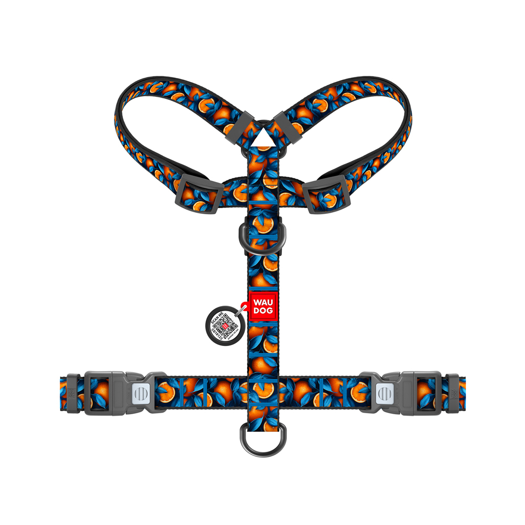 Шлея для собак WAUDOG Nylon анатомічна H-подібна з QR-паспортом "Апельсини" пластиковий фастекс, M (344-4054)