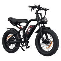 Електровелосипед 2E EB11 20", Червоно-чорний (EB11)