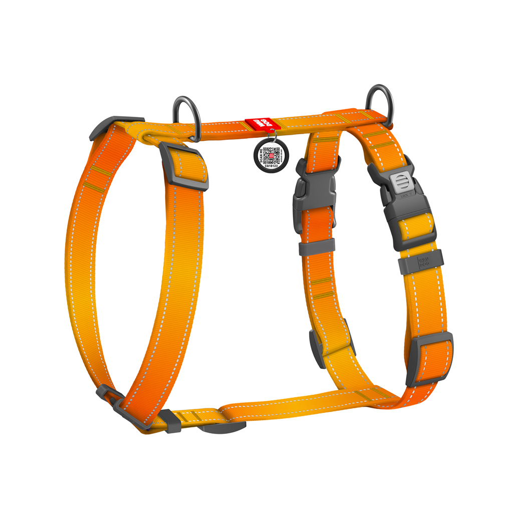 Шлея для собак WAUDOG Nylon Mono анатомічна H-подібна з QR паспортом, пластиковий фастекс, XL помаранчева (54594)