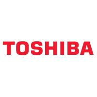 Тонер-картридж Toshiba T-FC25EY 26.8K YELLOW (6AJ00000202)