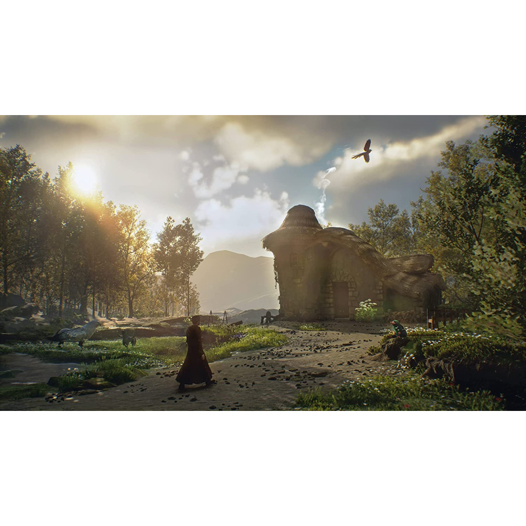 Гра Sony Hogwarts Legacy. Deluxe Edition, BD диск (5051895415412)