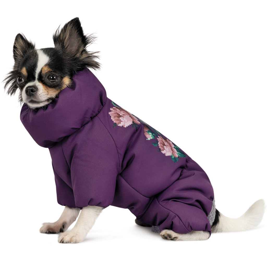 Костюм для тварин Pet Fashion LOLA ХS (4823082432417)